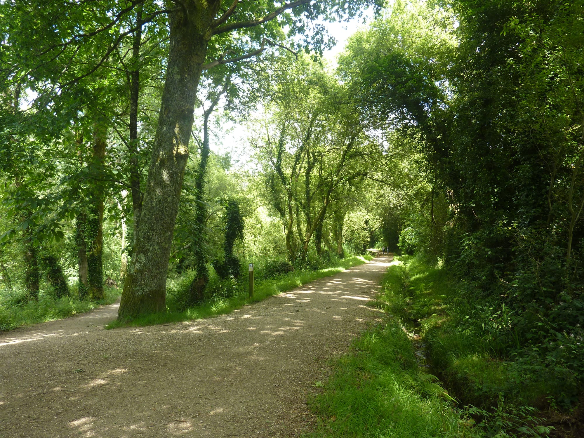 Voie verte au bord des étangs de Rosporden